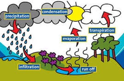 Who Discovered The Water Cycle 61
